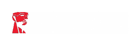 Logo KINGSTON
