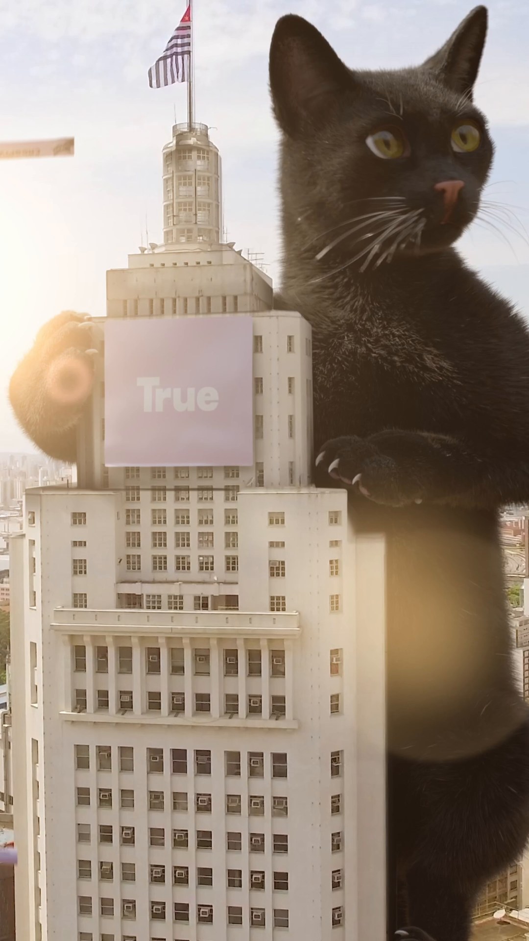 True Creamy — frame 03
