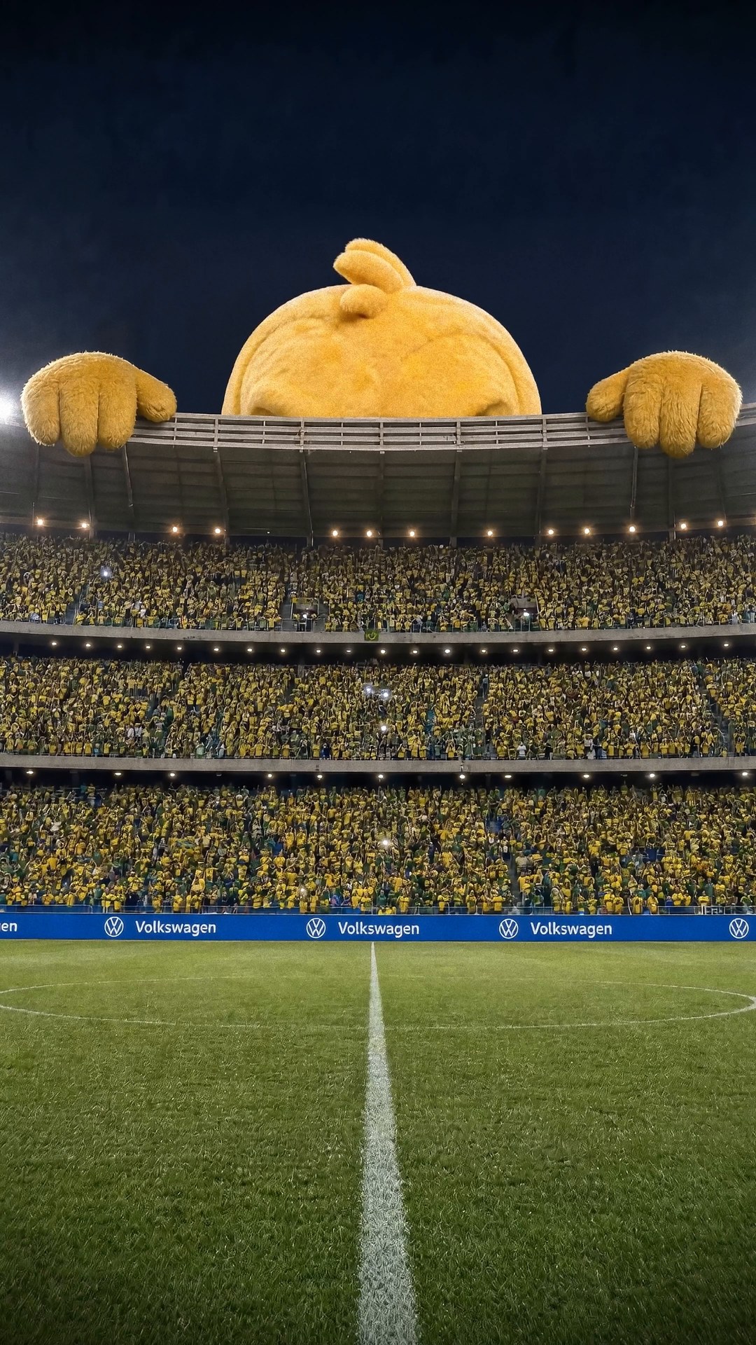 Canarinho Entrega — frame 01